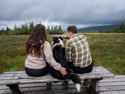 Mit Hund im Torfhausmoor