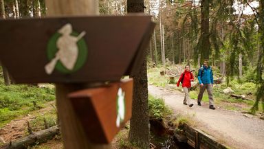 Vacation in the Harz Mountains - Harzer Tourismusverband e.V.