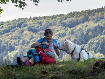 Mit Hund unterwegs